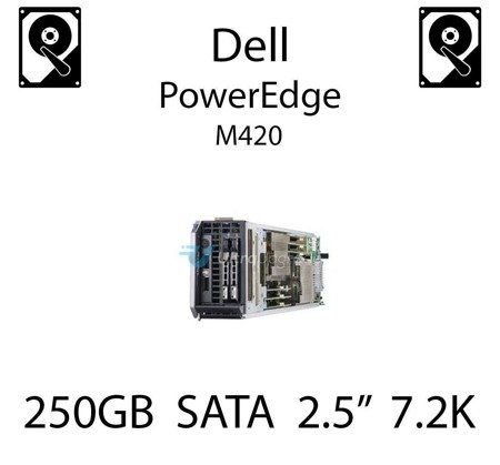 250GB 2.5" dedykowany dysk serwerowy SATA do serwera Dell PowerEdge M420, HDD Enterprise 7.2k, 6GB/s - HC79N (REF)