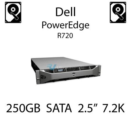 250GB 2.5" dedykowany dysk serwerowy SATA do serwera Dell PowerEdge R720, HDD Enterprise 7.2k, 6GB/s - HC79N (REF)