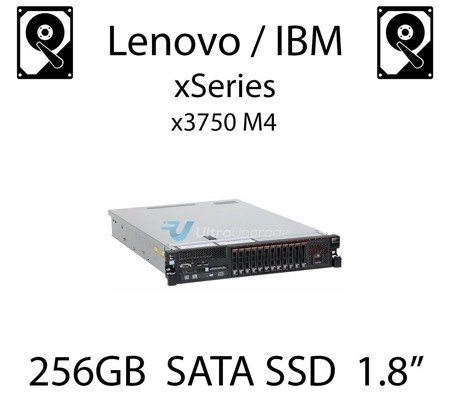 256GB 1.8" dedykowany dysk serwerowy SATA do serwera Lenovo / IBM System x3750 M4, SSD Enterprise , 300MB/s - 00W1227  (REF)