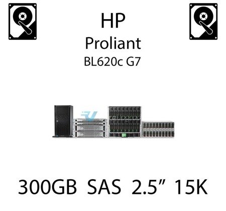 300GB 2.5" dedykowany dysk serwerowy SAS do serwera HP ProLiant BL620c G7, HDD Enterprise 15k, 12GB/s - 785407-001 (REF)