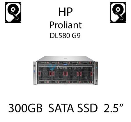 300GB 2.5" dedykowany dysk serwerowy SATA do serwera HP Proliant DL580 G9, SSD Enterprise  - 739888-B21