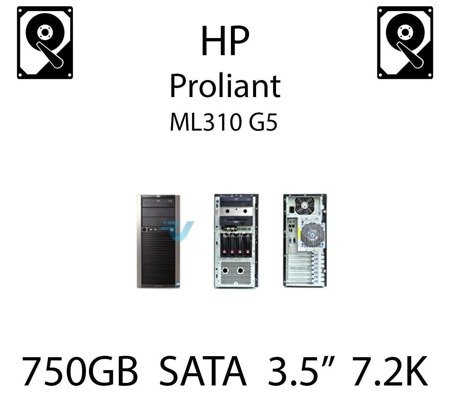 750GB 3.5" dedykowany dysk serwerowy SATA do serwera HP ProLiant ML310 G5, HDD Enterprise 7.2k, 150MB/s - 432401-001 (REF)